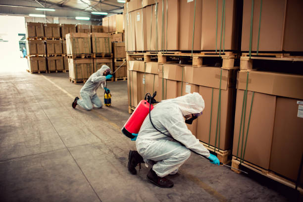 Best Pest Control Cost  in Imlay City, MI