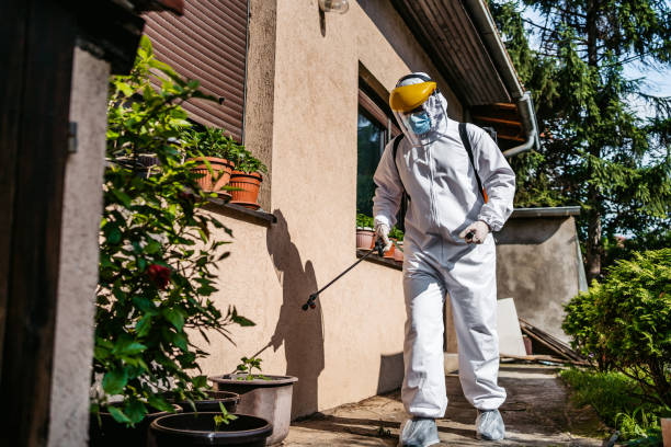 Best Flea Control Services  in Imlay City, MI