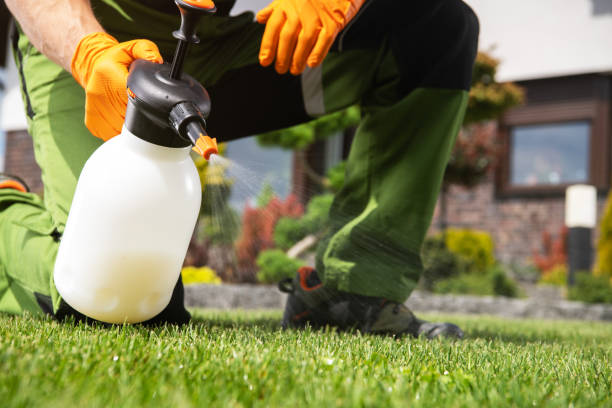 Best Spider Control Near Me  in Imlay City, MI