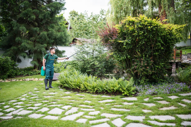 Best Wasp Removal Services  in Imlay City, MI