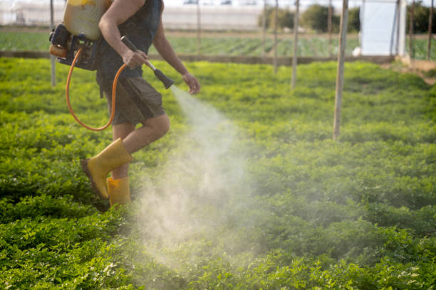 Best Pest Control Cost  in Imlay City, MI