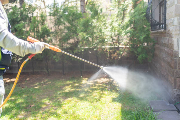 Best Mosquito Control Services  in Imlay City, MI