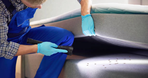 Best Cockroach Control Services  in Imlay City, MI
