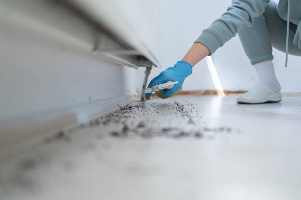 Best Commercial Pest Control Services  in Imlay City, MI