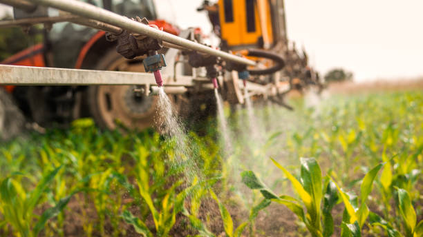 Wildlife Control Services in Imlay City, MI